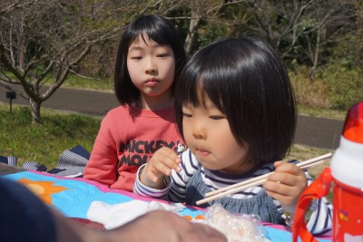 DSC00010 (1)