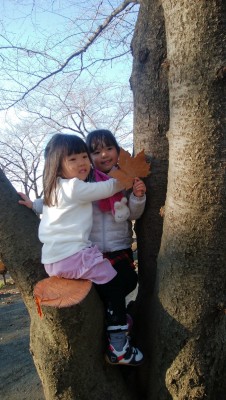 IMG_20191218_140404