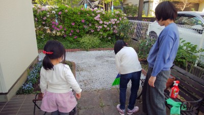 IMG_20200426_144115