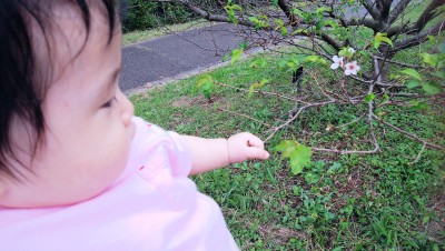 IMG_20201003_152254